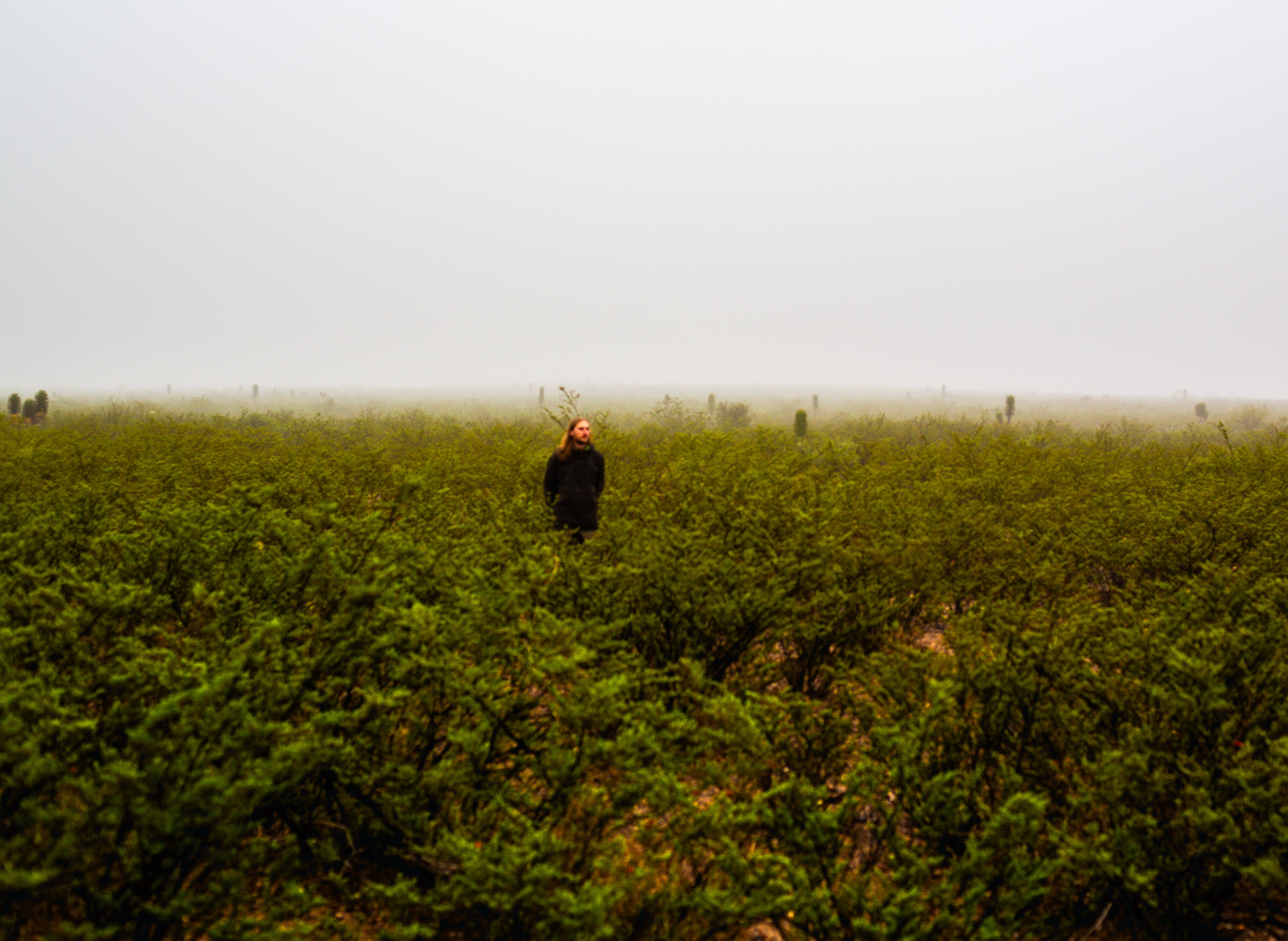 Indre Reiser i naturen